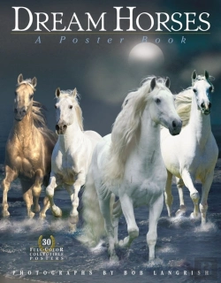 Bertrand.pt - Dream Horses Poster Book