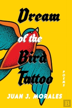 Bertrand.pt - Dream Of The Bird Tattoo
