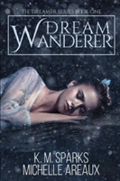 Dream Wanderer