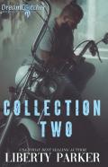 Dreamcatcher Mc Collection 2