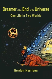 Dreamer At The End Of The Universe