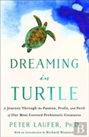 Dreaming In Turtle