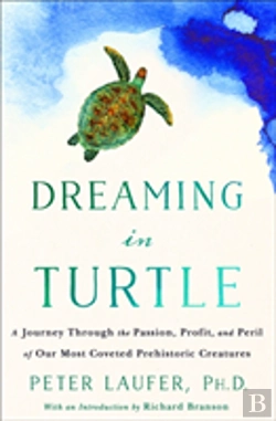 Bertrand.pt - Dreaming In Turtle