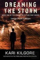 Dreaming The Storm