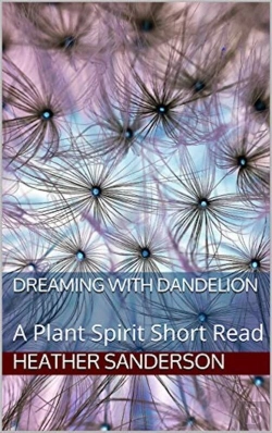 Bertrand.pt - Dreaming With Dandelion