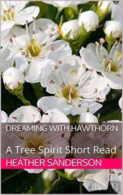 Bertrand.pt - Dreaming With Hawthorn