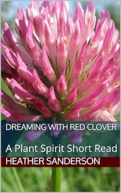 Dreaming With Red Clover