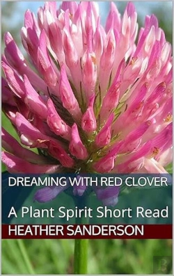 Bertrand.pt - Dreaming With Red Clover