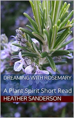 Bertrand.pt - Dreaming With Rosemary