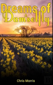 Dreams Of A Damselfly