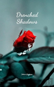 Drenched Shadows