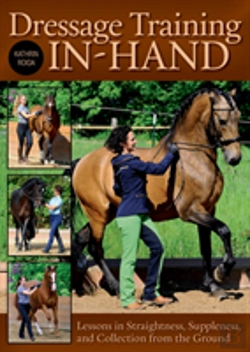 Bertrand.pt - Dressage Training In-Hand