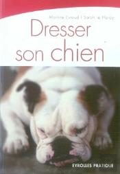 Dresser Son Chien