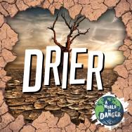 Drier