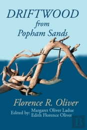 Driftwood From Popham Sands