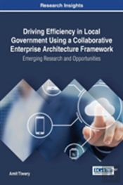 Driving Efficiency In Local Government Using A Collaborative Enterprise Architecture Framework