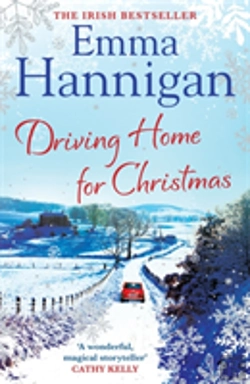 Bertrand.pt - Driving Home For Christmas