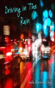 Driving In The Rain