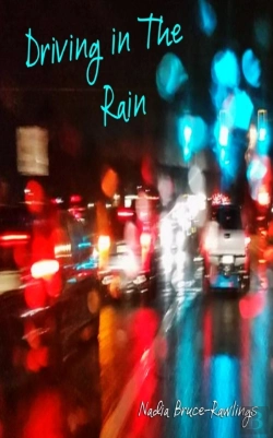 Bertrand.pt - Driving In The Rain