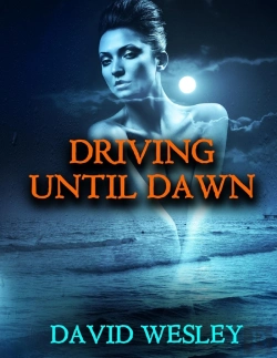 Bertrand.pt - Driving Until Dawn