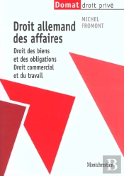 Droit Allemand Des Affaires