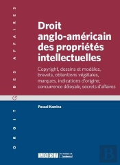 Droit Anglo-Americain Des Proprietes Intellectuelles