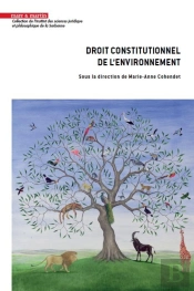 Droit Constitutionnel De L'Environnement : Regards Croisés