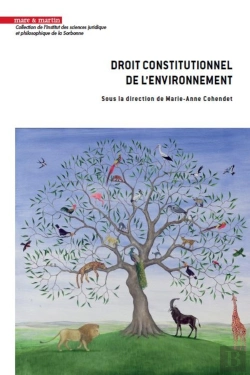 Bertrand.pt - Droit Constitutionnel De L'Environnement : Regards Croisés
