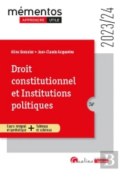 Droit Constitutionnel Et Institutions Politiques : Cours Intégral Et Synthétique + Tableaux Et Schémas (Édition 2023/2024)