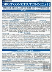 Droit Constitutionnel (I) (2008)