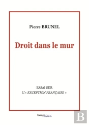 Droit Dans Le Mur