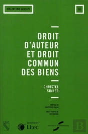 Droit D'Auteur Et Droit Commun Des Biens
