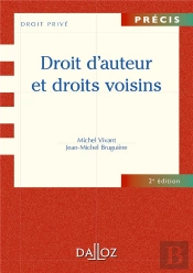 Droit D'Auteur Et Droits Voisins (2e Édition)
