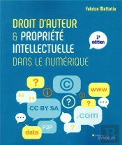 Droit D'Auteur Et Propriete Intellectuelle Dans Le Numerique - 3e Edition