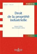 Droit De La Propriété Industrielle (7e Édition)