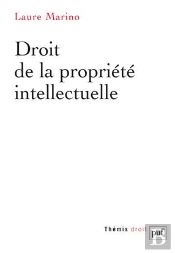 Droit De La Propriete Intellectuelle