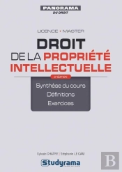 Droit De La Propriété Intellectuelle ; Licence, Master (2e Édition)