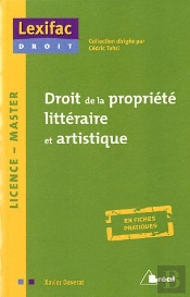 Droit De La Propriété Intellectuelle ; Licence - Master
