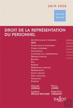 Bertrand.pt - Droit De La Représentation Du Personnel