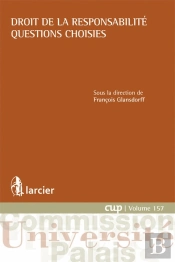 Droit De La Responsabilité ; Questions Choisies