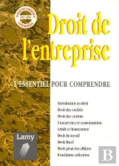 Droit De L'Entreprise ; L'Essentiel Pour Comprendre Le Droit