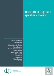 Droit De L'Entreprise : Questions Choisies