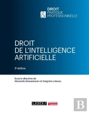 Droit De L'Intelligence Artificielle (3e Édition)