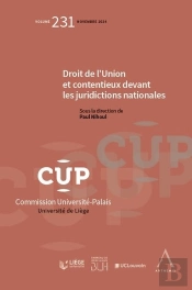 Droit De L'Union Et Contentieux Devant Les Juridictions Nationales