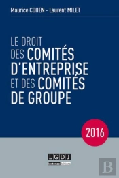 Droit Des Comites D'Entreprise Et Des Comites De Groupe, 12eme Ed. (Le)