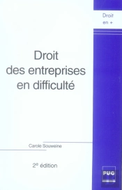 Droit Des Entreprises En Difficulté (Édition 2007)