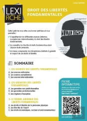 Droit Des Libertes Fondamentales
