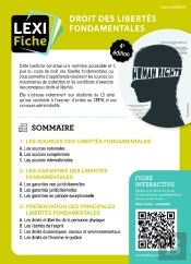 Droit Des Libertés Fondamentales