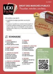 Droit Des Marchés Publics : Passation, Exécution, Sanctions