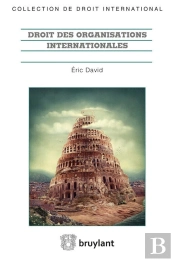 Droit Des Organisations Internationales ; Acte Constitutif, Participation Des États, Actes Institutionnels, Personnalité Juridique Et Privilèges Et Immunités